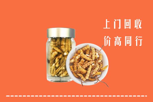 银川回收冬虫夏草