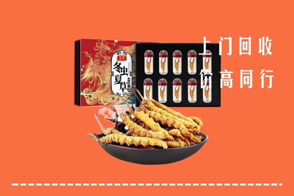 银川回收虫草